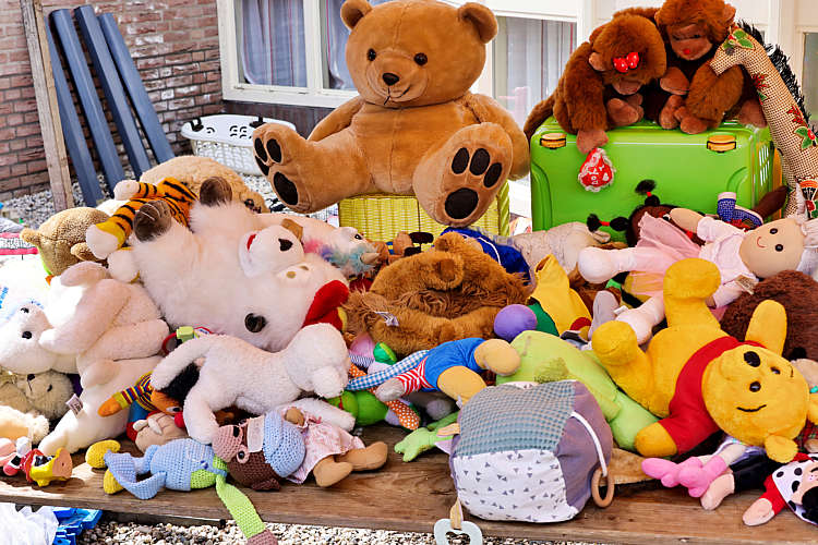 Rommelmarkt 2022 Waarder_189